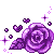 紫色玫瑰 50X50 02