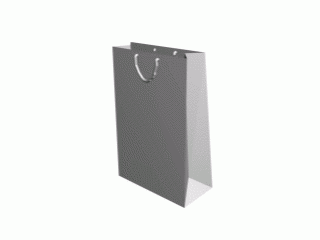 0024_bag.gif