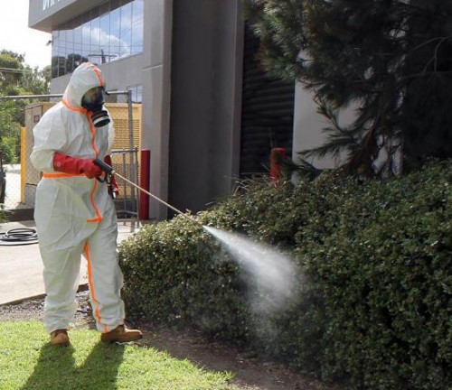 Here at Quality Pest Control and Maintenance we are experts in the field of pest control and building inspections meaning we are the perfect fit to meet all
Visit us:-http://www.qualitypestcontrolandmaintenance.com.au/Building-%26-Pest-Inspections