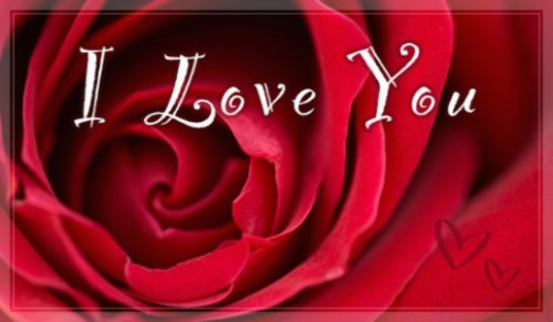 15514-i-love-you-rose.jpg