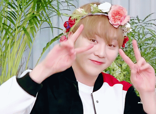 180514-GOING-SEVENTEEN-.gif