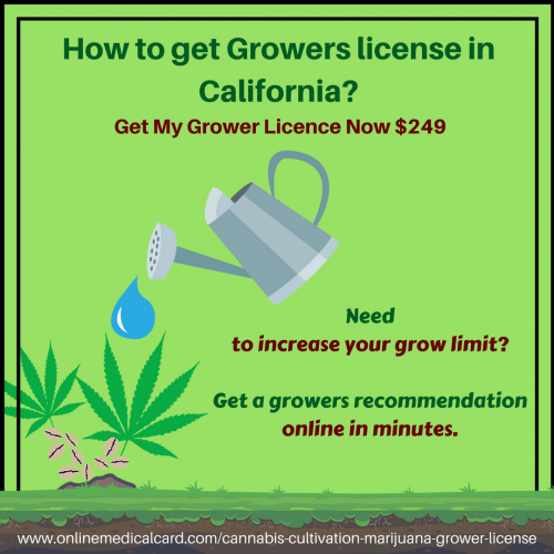 Marijuana plant is enriched with various cannabinoids which offer great health benefits.Marijuana Growing license acts as a legal right to grow cannabis for medical purpose.You might be thinking “How to get Growers license in California?” We would like to tell you that online medical card provides the growing license online and you can reap all the benefits of cannabis by growing up to 99 plants.All you need to apply for license and get in contact with the specialist and within short time your license will be with you.
Visit: