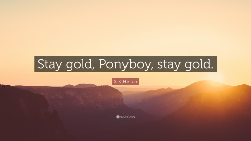 291988-S-E-Hinton-Quote-Stay-gold-Ponyboy-stay-gold.jpg