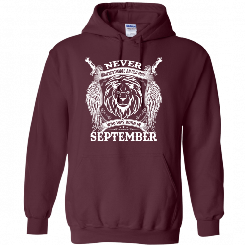 2Hoodie5Maroon8713a01830dc4c87.png