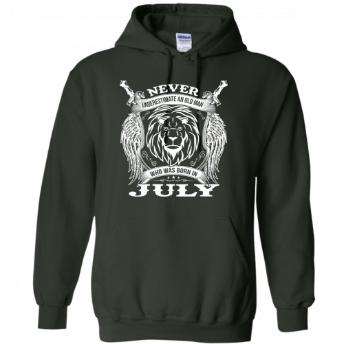 2Hoodie6Forest98e937711ae8ea98.png