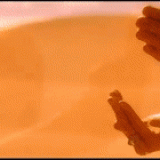 2a910c26a182e23af8e9997a07d5e8bd