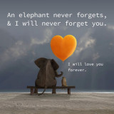 50ee3a667702e7d7c403ba786998eb8c--we-will-never-forget-i-will-love-you