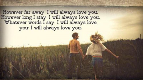 6575958 i love you quotes