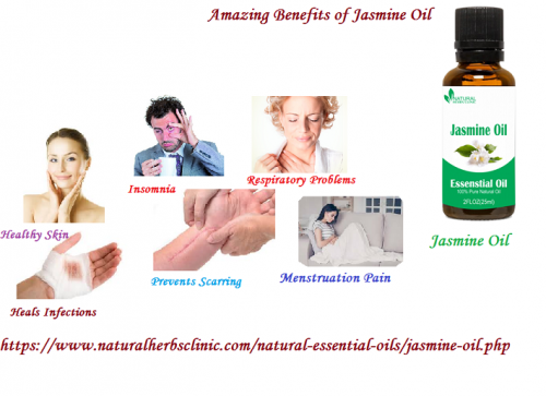 The Jasmine Oil is extracted from different type of species, but they are mainly come from the Jasminum Officinale (Common Jasmine) flower and they are extracted from the plant’s white flowers, which only bloom during the night.... http://www.naturalherbsclinic.com/blog/8-amazing-benefits-of-jasmine-oil/