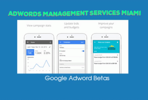 Adwords Management Services