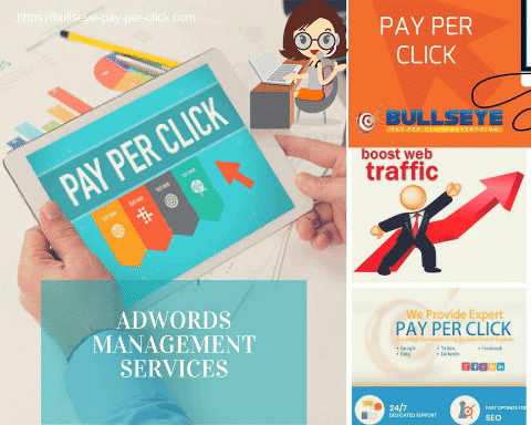 Adwords Management Services