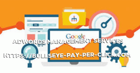 Adwords-Management-Services5907af2cd822a34a.gif