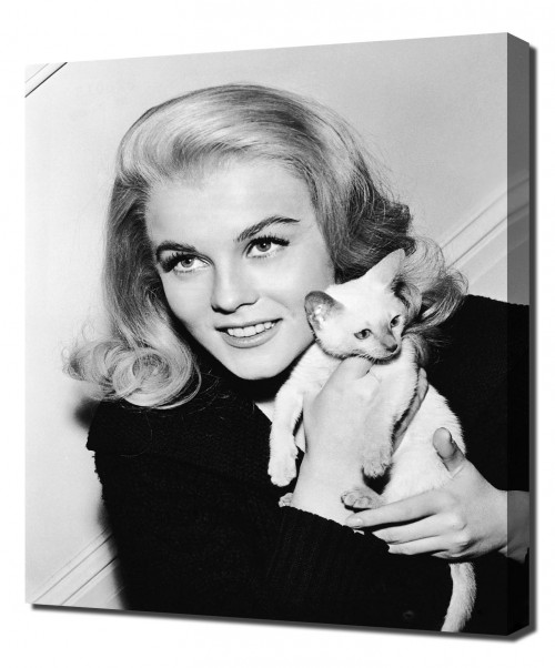 Annex---Ann-Margret-Kitten-With-a-Whip_NRFPT_01.jpg