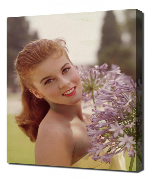 Annex---Ann-Margret_13---Original-Uncleaned.jpg