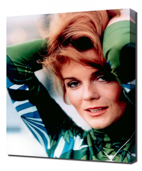 Annex---Ann-Margret_25.jpg