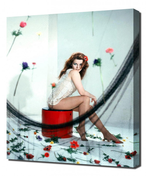 Annex---Ann-Margret_28.jpg