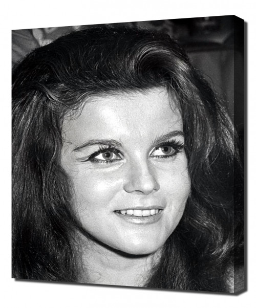 Annex---Ann-Margret_35.jpg