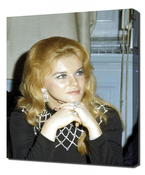 Annex---Ann-Margret_38.jpg