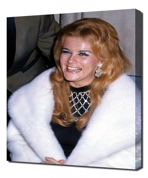 Annex---Ann-Margret_52.jpg