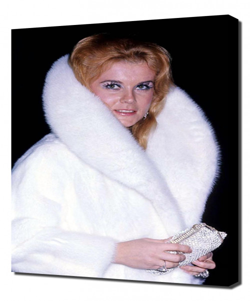 Annex---Ann-Margret_53.jpg