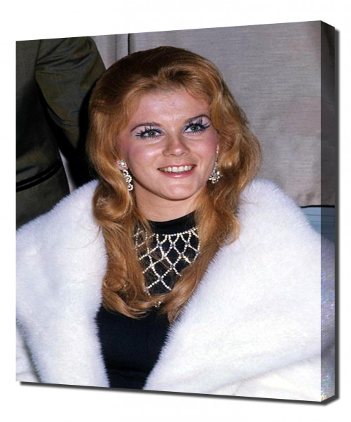 Annex---Ann-Margret_54.jpg