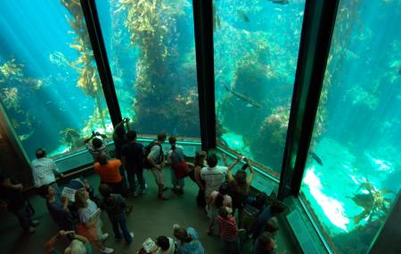 Aquarium-Of-The-Bay.jpg