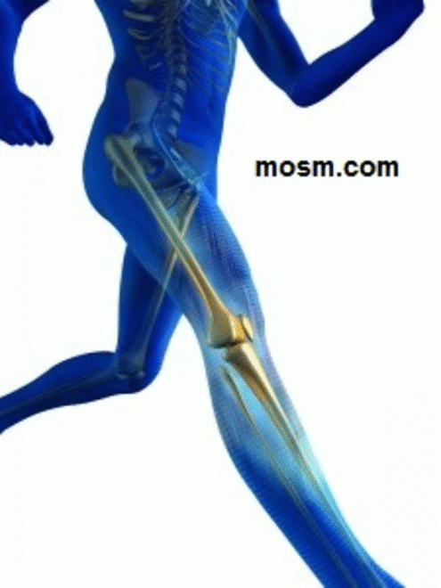 Best Arthroscopic Hip Surgery treatment available at mosm please visit website to know more about treatment. https://bit.ly/2H5I8id