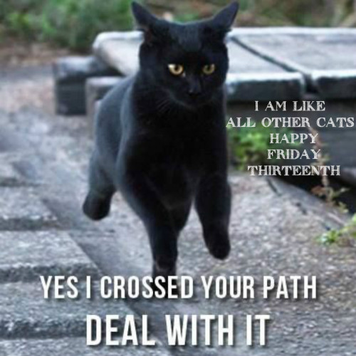 BLACK-CAT-CROSSED-YOUR-PATH.jpg
