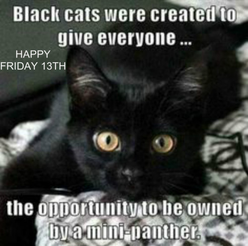 BLACK-PANTHER-CAT.jpg