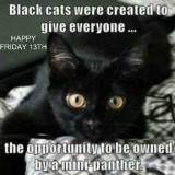 BLACK-PANTHER-CAT