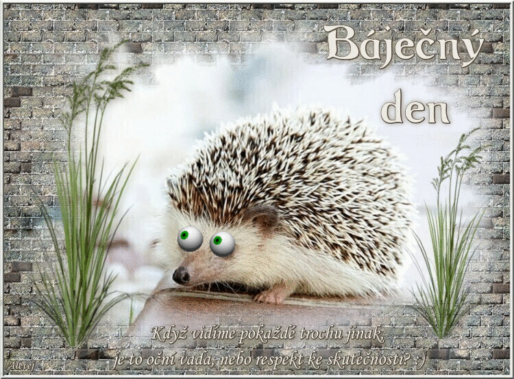 Bajecny-den336c8cb664581fb8.gif