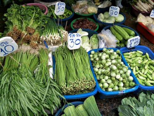 If you want to experience authentic Thai, not set-up-for-tourists ways of life, visiting Bangkok fresh markets is a must. Check out these 5 unique ones.
Visit us:-https://www.bangkokfoodtours.com/5-bangkok-fresh-markets-travelers-shouldnt-miss/