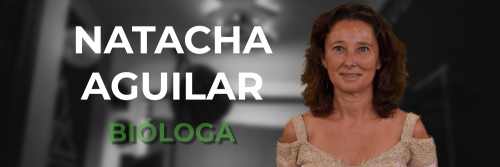 Banner-Web-Chicas-con-CienciULL-Natacha-Aguilar.png