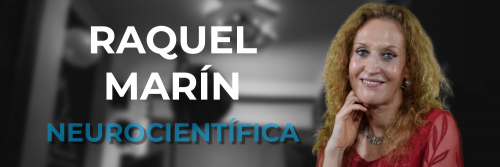 Banner-Web-Chicas-con-CienciULL-Raquel-Marin1ee780d9261dac2d.png