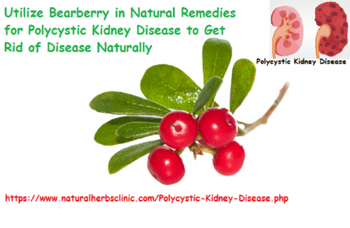 Bearberry is another useful herb element for Natural Remedies for Polycystic Kidney Disease patients and it has superior effects on healing urinary tract infections as well as preventing cyst infection and kidney infection... https://www.wonderzine.com/talks/health/32855-natural-remedies-for-polycystic-kidney-disease-suitable-way-to-treat