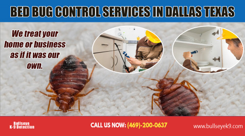 Bed-Bug-Control-Services-in-Dallas-Texas030f7baec6775a5a.jpg