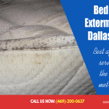 Bed-Bug-Exterminator-Dallas-Cost83008a2c841eab8f