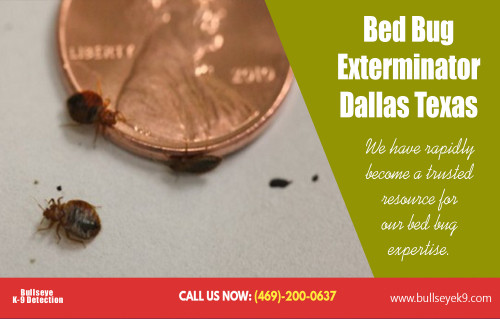 Bed-Bug-Exterminator-Dallas-Texas81b4449fb92a19a5.jpg