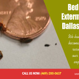 Bed-Bug-Exterminator-Dallas-Texas81b4449fb92a19a5