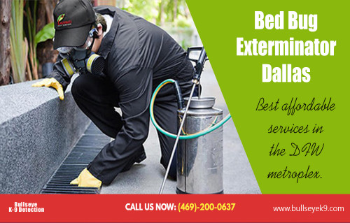 Bed-Bug-Exterminator-Dallas076f9199a266d7af.jpg