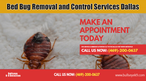 Bed-bug-removal-and-control-services-dallas.jpg