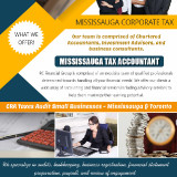 Best-Tax-Accountant-Mississaugaa2f3e0f91a57e1c1