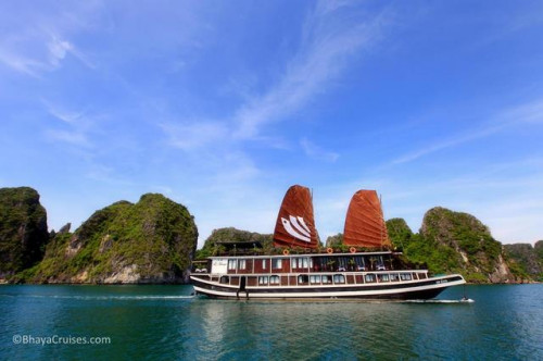 Enjoy Halong Bay One Day Tour from Hanoi and get the best prices on Halong Bay Day Cruises The best way to explore Halong and see the bay. See more here and book your trip today! Visit http://hanoitohalong.com/halong-tours/1-day/halong-bay-tour-full-day-with-transportation for more information.