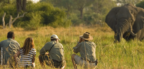 We’ve experienced most of the very best and worst that Africa offers from apartheid to democracy and Mandela in South Africa, dark days in Zimbabwe & return to positive growth in Zambia

Visit Here:- http://okavango-delta-safaris.com/