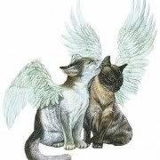 CAT-ANGELS-FOR-NYACK.jpg