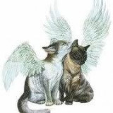 CAT-ANGELS-FOR-NYACK