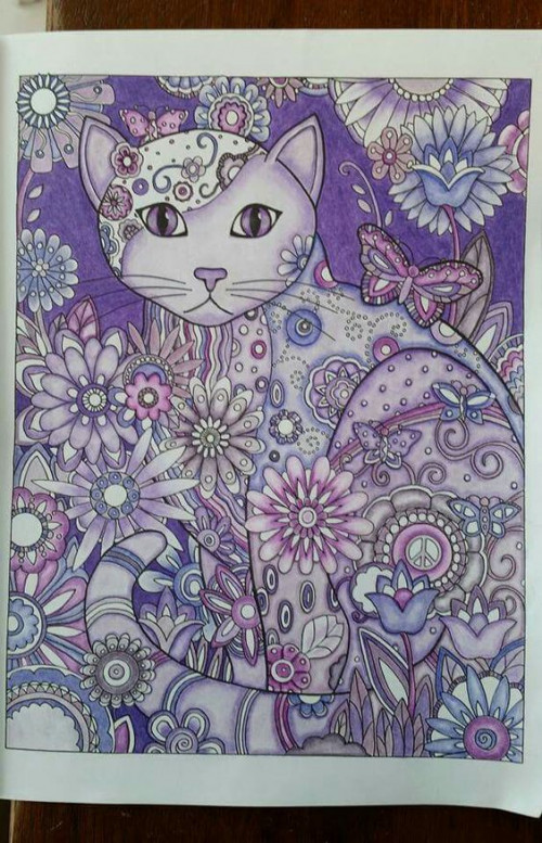 CAT-PURPLE.jpg