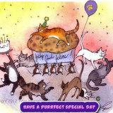 CAT-PURRFECT-BDAY