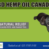 CBD-Hemp-oil-Canada