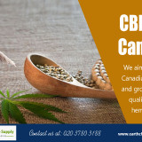 CBD-Oil-Canada